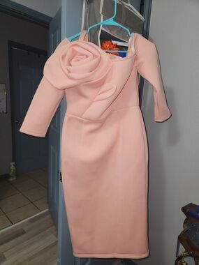 Blush Pink Long-Sleeve Rose Applique Midi Dress